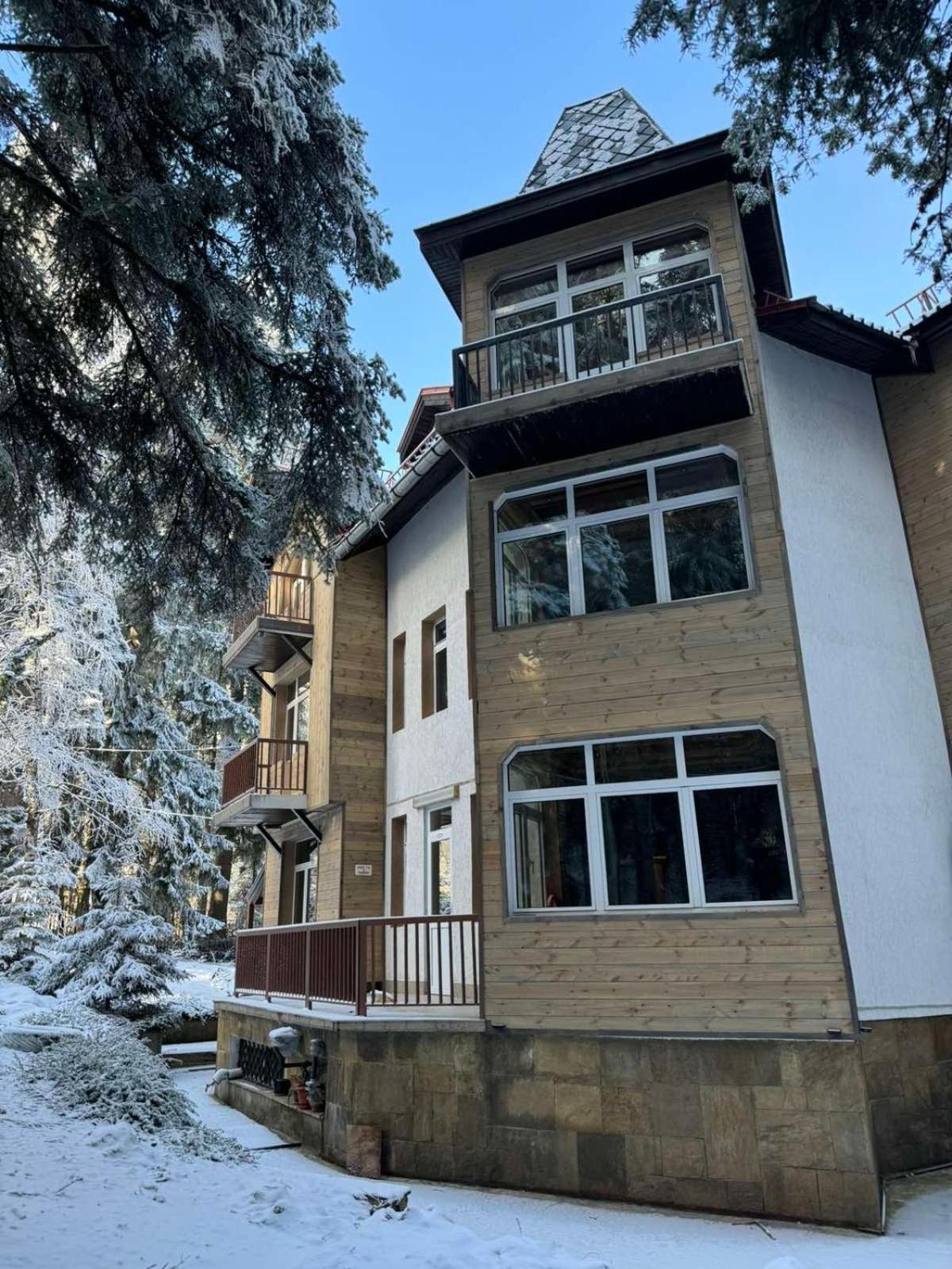 The Forest Villa Borowec Zewnętrze zdjęcie