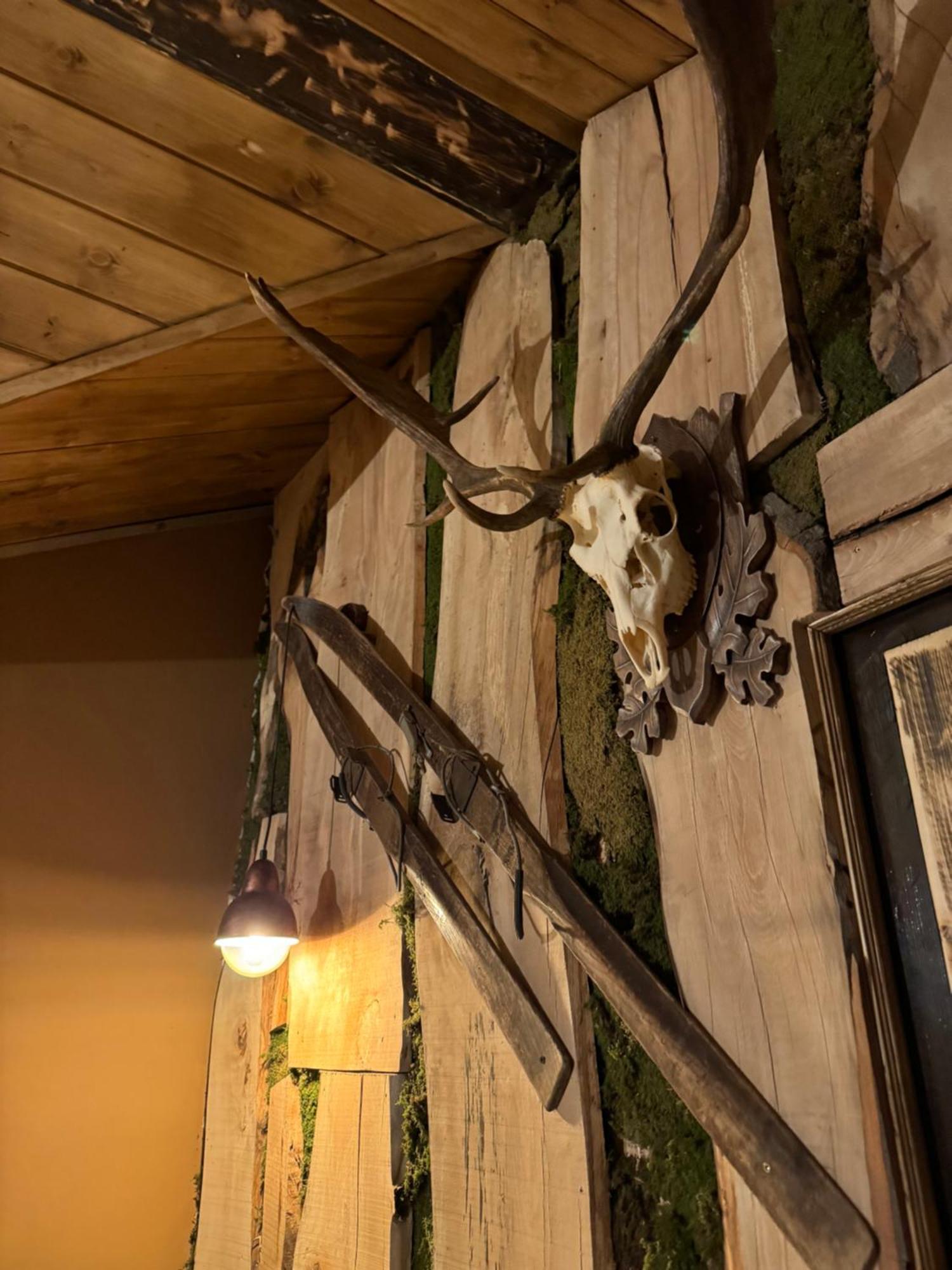 The Forest Villa Borowec Zewnętrze zdjęcie