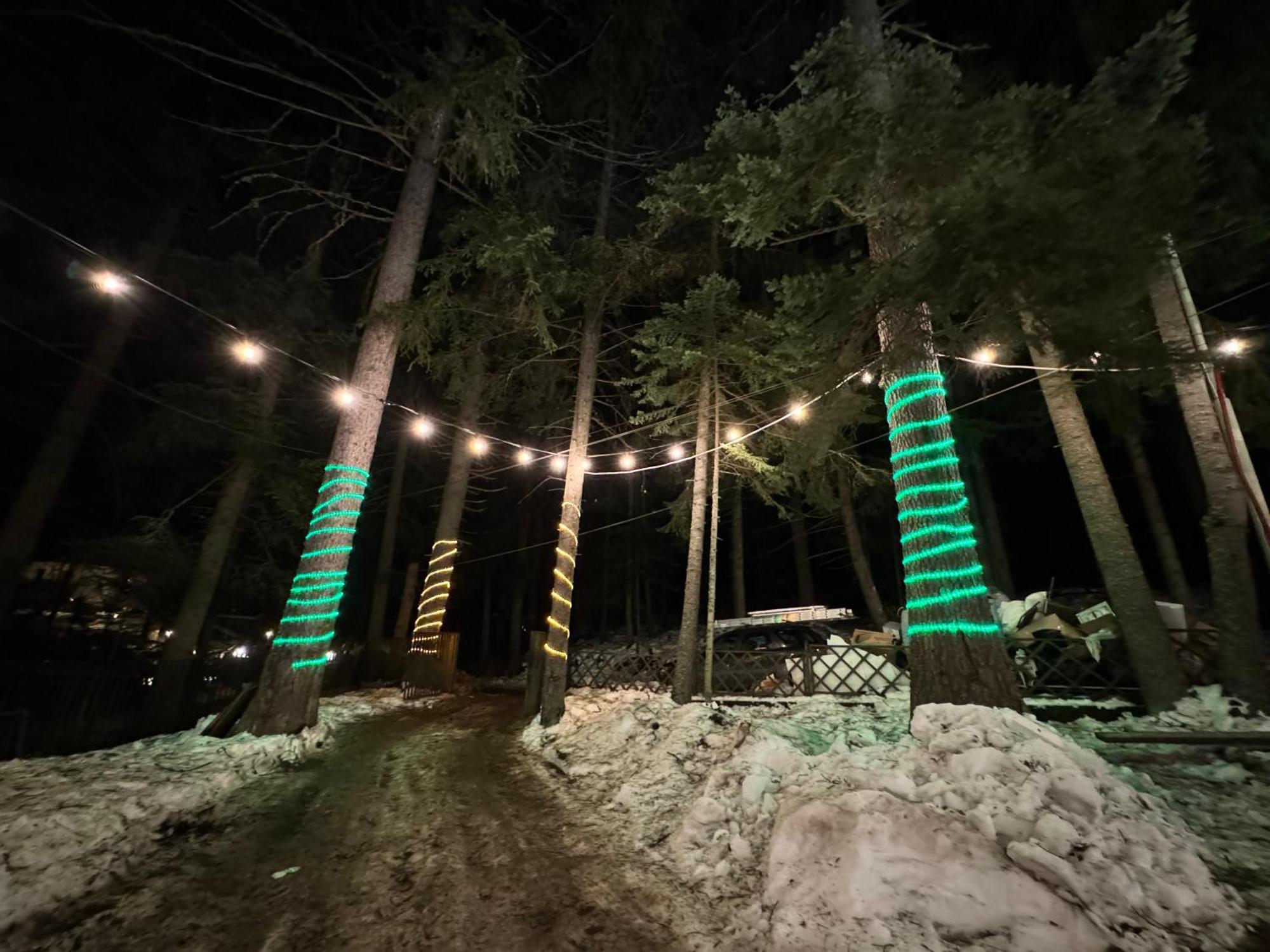 The Forest Villa Borowec Zewnętrze zdjęcie
