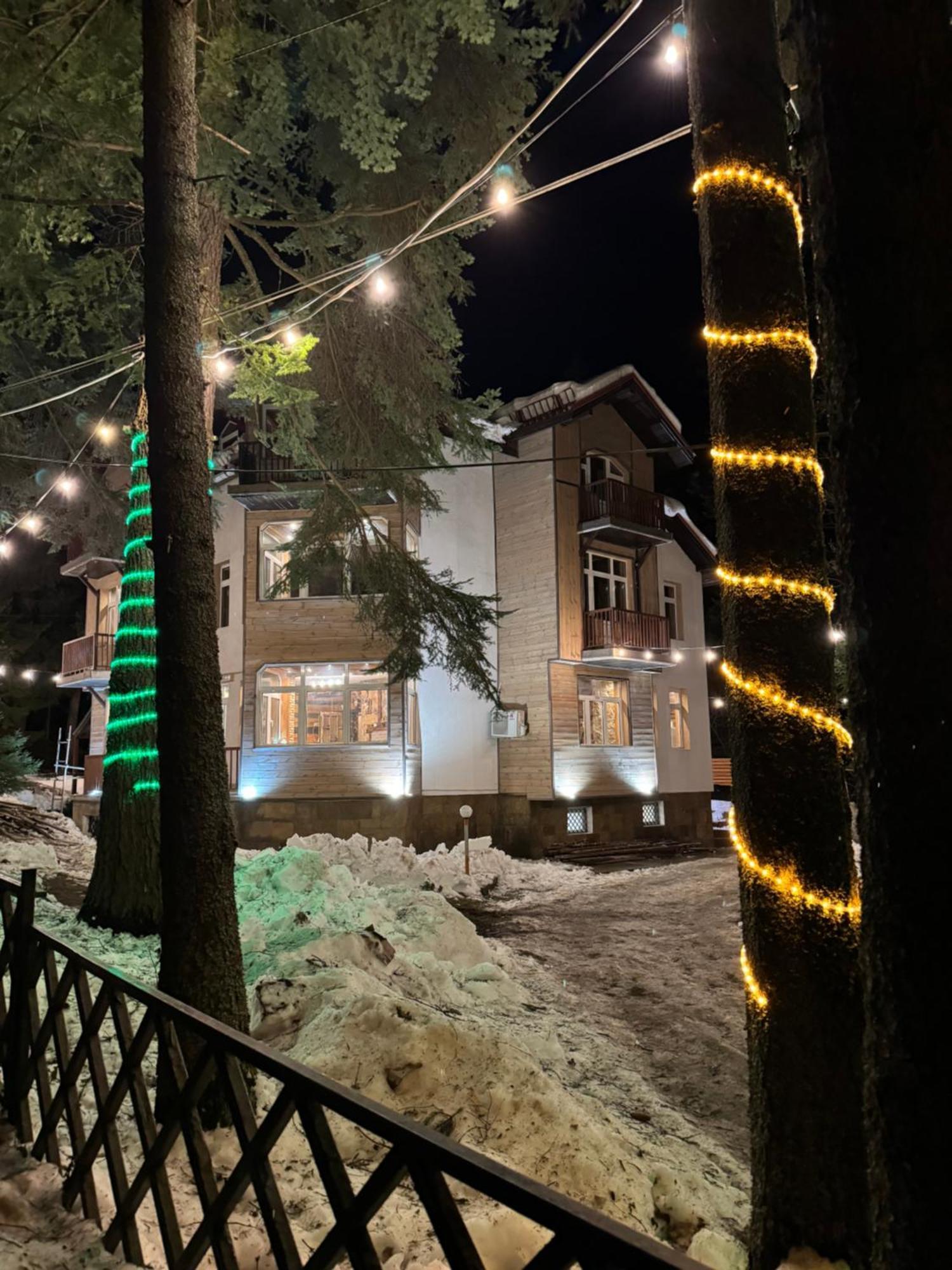 The Forest Villa Borowec Zewnętrze zdjęcie