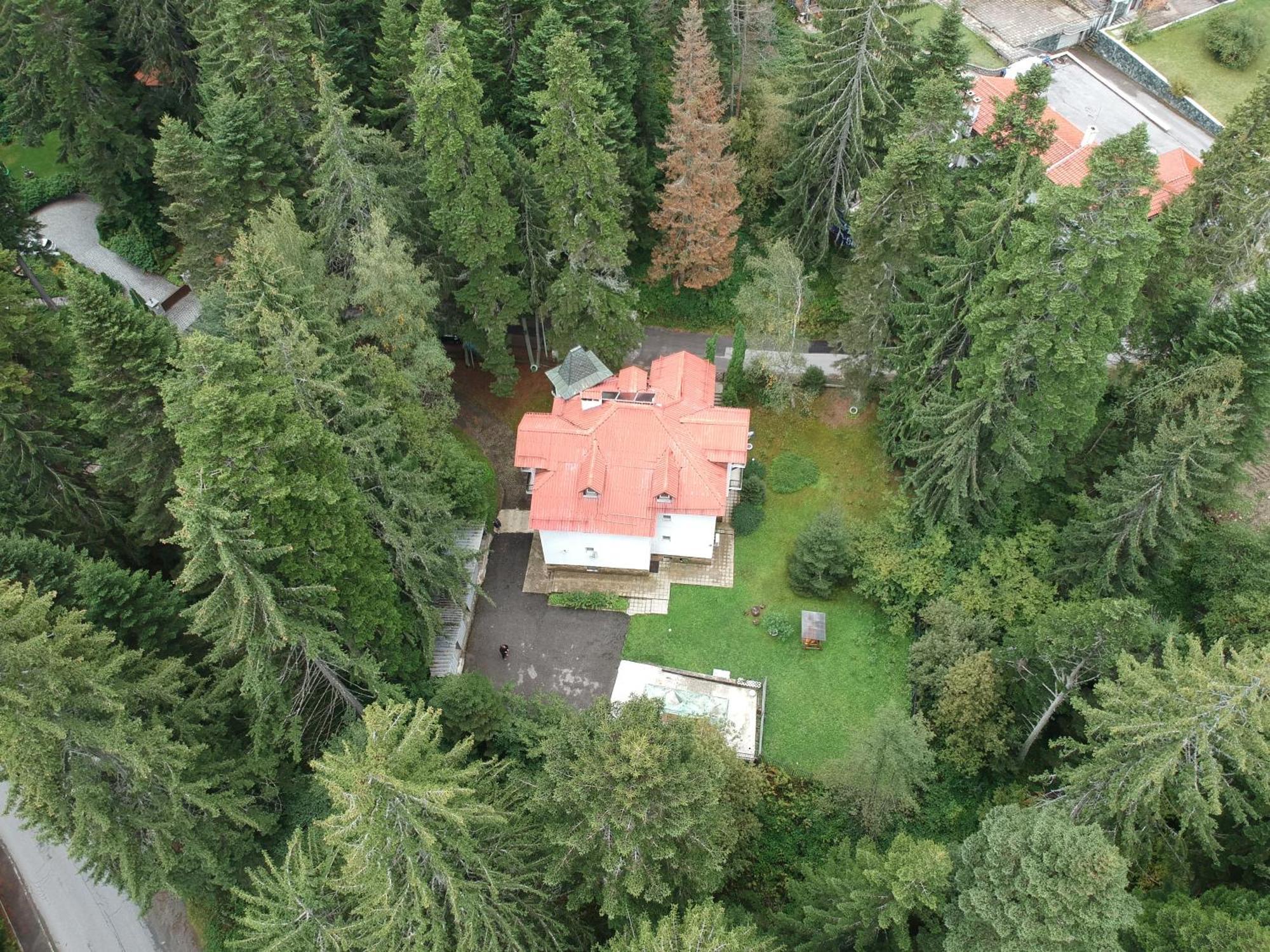 The Forest Villa Borowec Zewnętrze zdjęcie