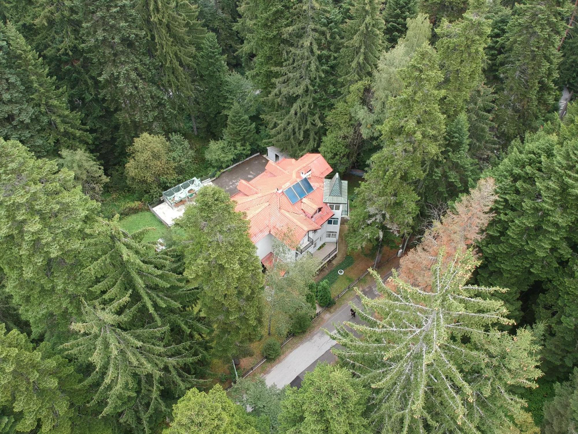 The Forest Villa Borowec Zewnętrze zdjęcie